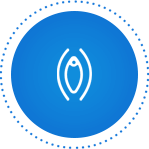 Kızlık Zarı Dikimi Adana