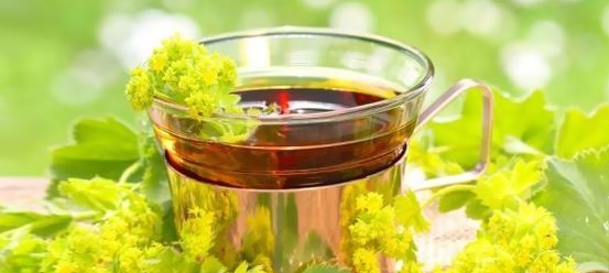 Kadınlarda Kısırlık Tedavisi için Bitkisel Yöntemler